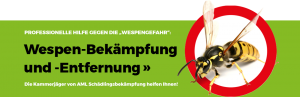 Wespen-Bekämpfung und -Entfernung in Stuttgart, Backnang, Ludwigsburg und Heilbronn