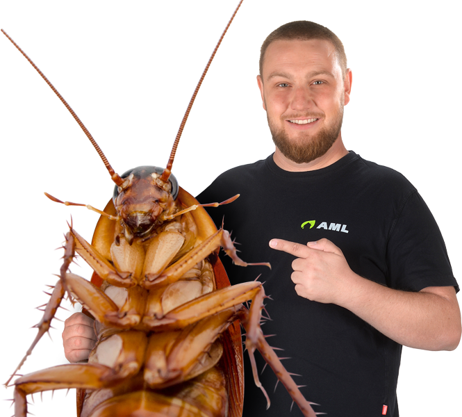 Adrian Machal – Kammerjäger für Stuttgart – AML Schädlingsbekämpfung