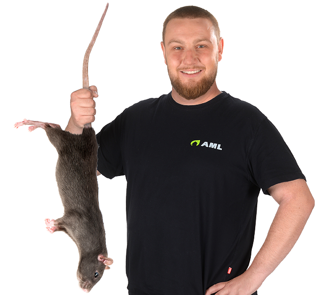 Adrian Machal mit Ratte – AML Schädlingsbekämpfung Adrian Machal – Kammerjäger für Stuttgart – AML Schädlingsbekämpfung